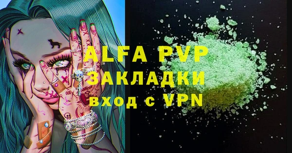 винт Инта