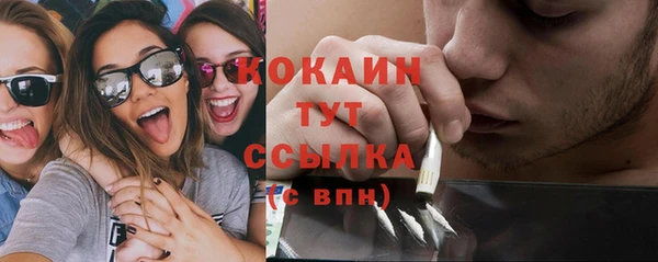 винт Инта
