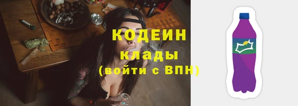 винт Инта