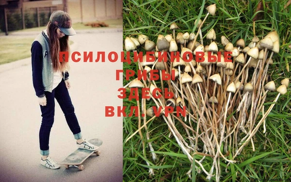 кокаин перу Иннополис