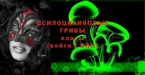 apvp Грязовец