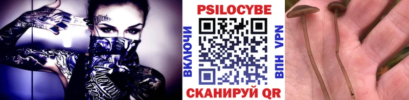 Псилоцибиновые грибы MAGIC MUSHROOMS  Иннополис 